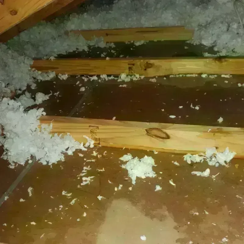 Attic Water Damage in Braham, MN