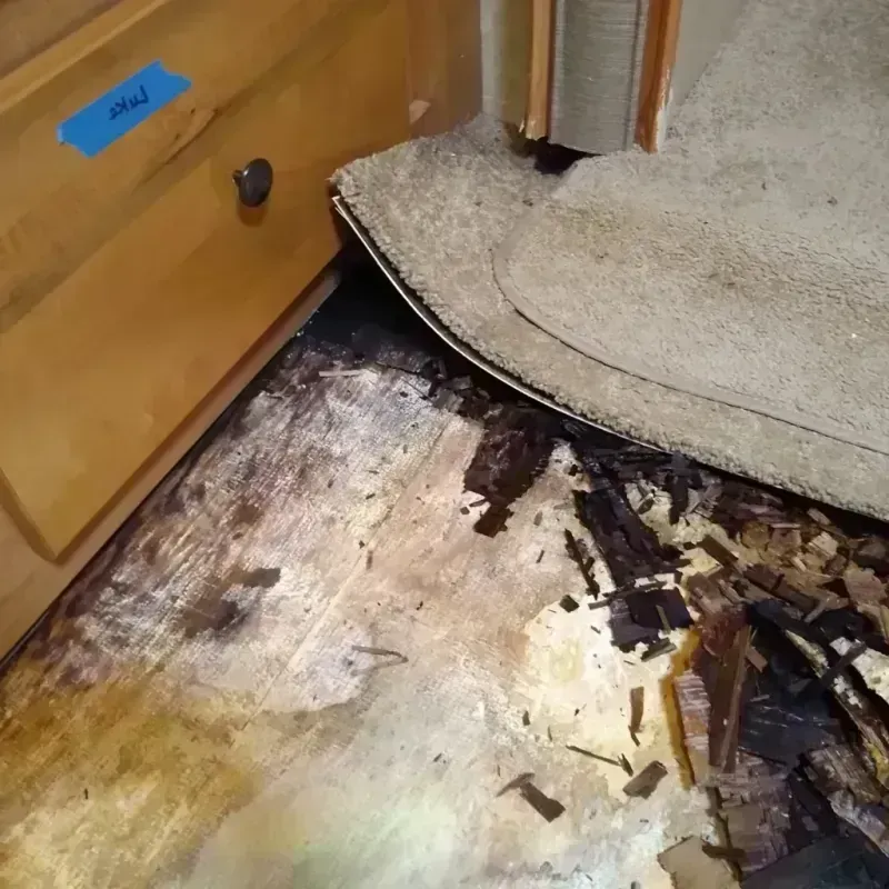 Best Wood Floor Water Damage Service in Braham, MN